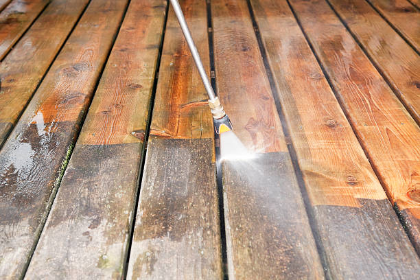 Best Fence Cleaning  in Ormond By The Sea, FL